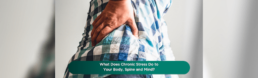 Chronic stress body spine and mind